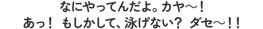 なにやってんだよ。カヤ～！あっ！もしかして、泳げない？ダセ～!!