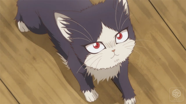 同居人はひざ、時々、頭のうえ。“にゃんコレVer.”