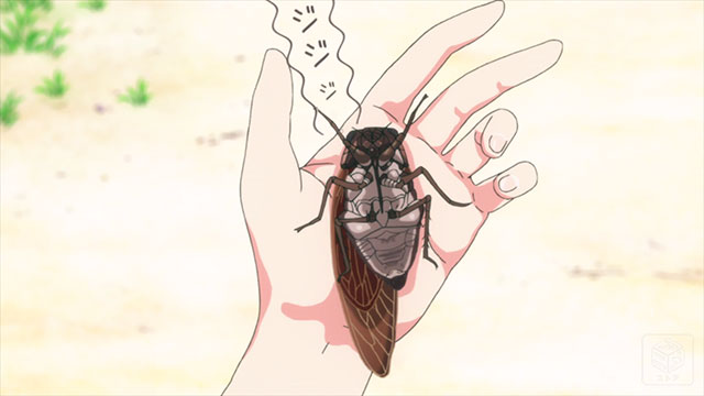 ソウナンですか？