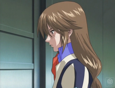 蒼穹のファフナー