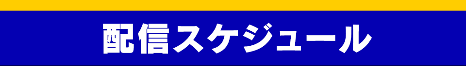 配信スケジュール