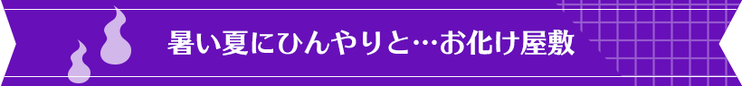 暑い夏にひんやりと…お化け屋敷
