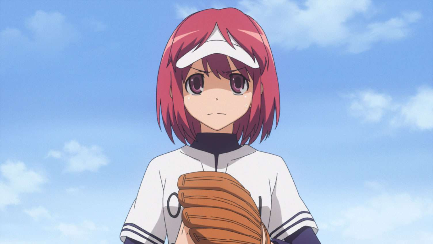 とらドラ! 第17話 | dアニメストア