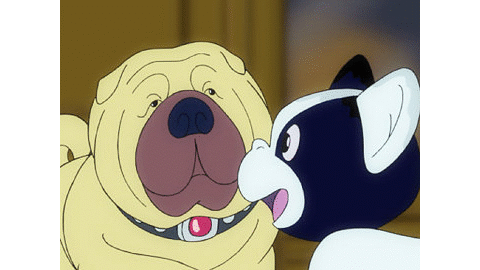 ふぉうちゅんドッグす 26 Dアニメストア ふぉうちゅんドッグす 26 Dアニメストア