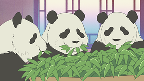 しろくまカフェ アニメ動画見放題 Dアニメストア