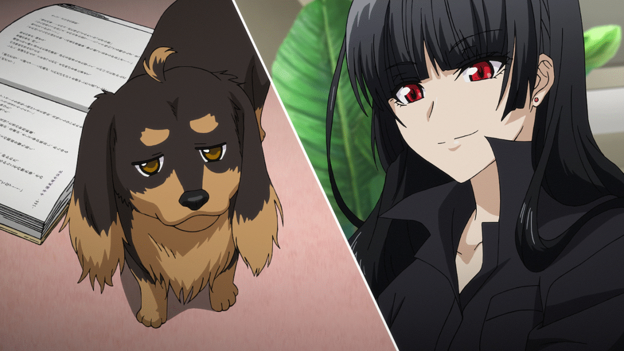 犬とハサミは使いよう 01 Dアニメストア