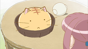 ポヨポヨ観察日記 33 40 Dアニメストア ポヨポヨ観察日記 33 40 Dアニメストア