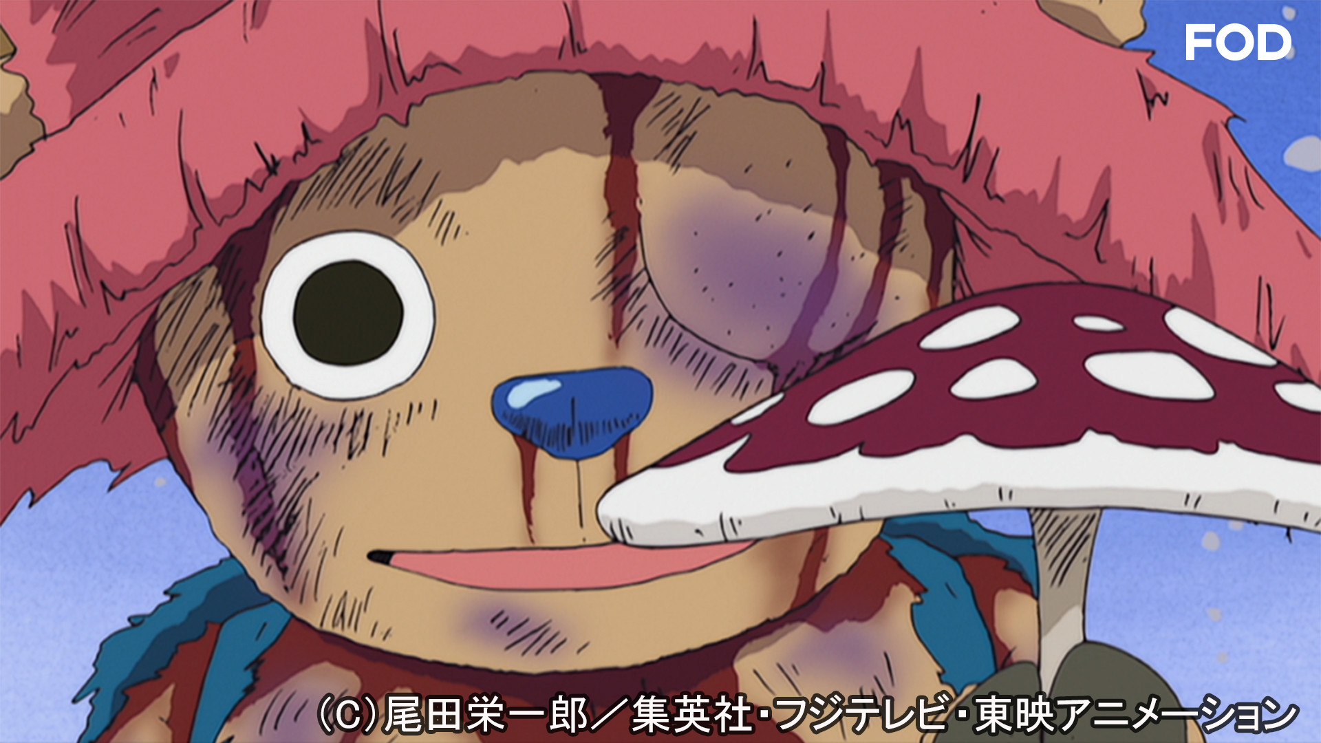 ワンピース チョッパー登場 冬島編 86 Dアニメストア