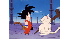 ドラゴンボール Vc ドラゴンボールZ セル画 直筆動画付き