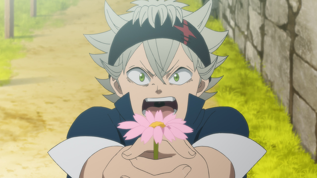 ブラッククローバー