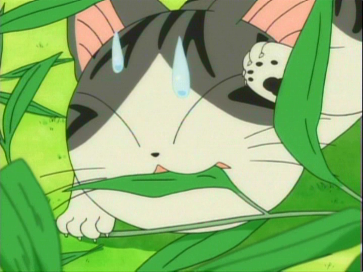 チーズスイートホーム あたらしいおうち 57 63 Dアニメストア