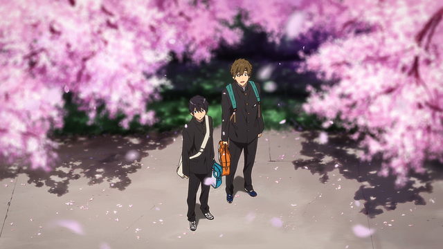 映画 ハイ☆スピード！－Free! Starting Daysー