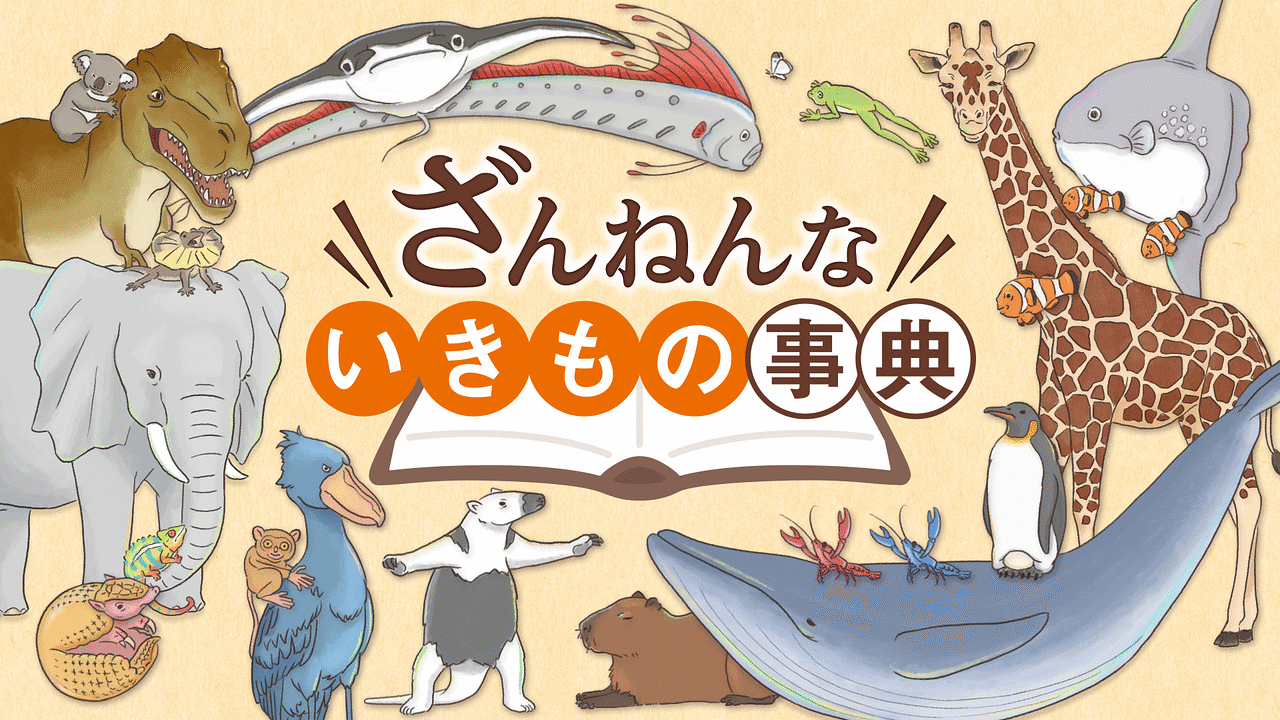 ざんねんないきもの事典 アニメ動画見放題 Dアニメストア