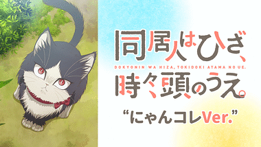 猫 犬アニメ特集 Dアニメストア