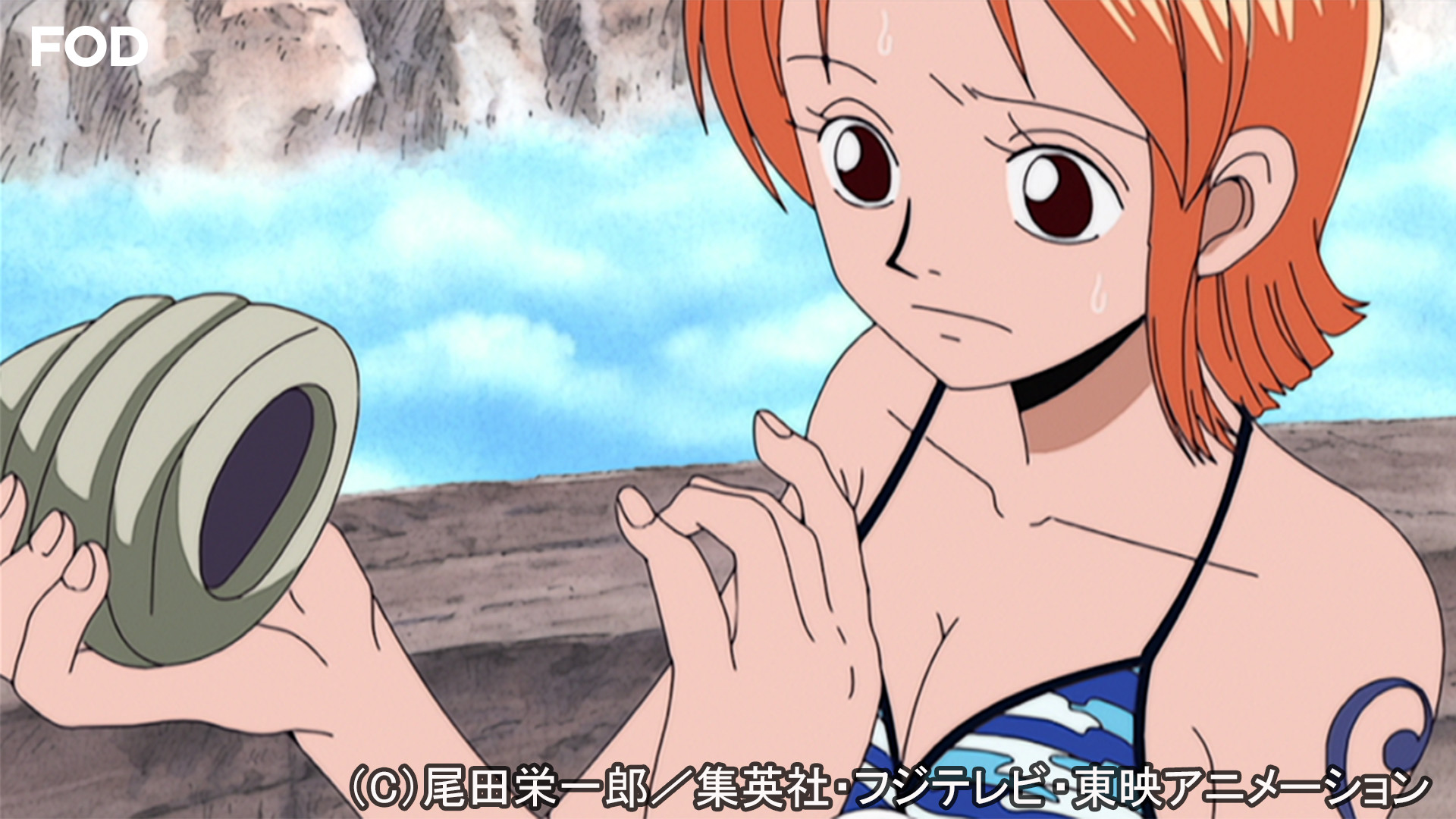 ワンピース 空島 スカイピア編 155 Dアニメストア