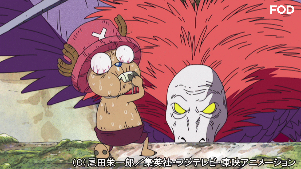 ワンピース 空島 スカイピア編 161 Dアニメストア