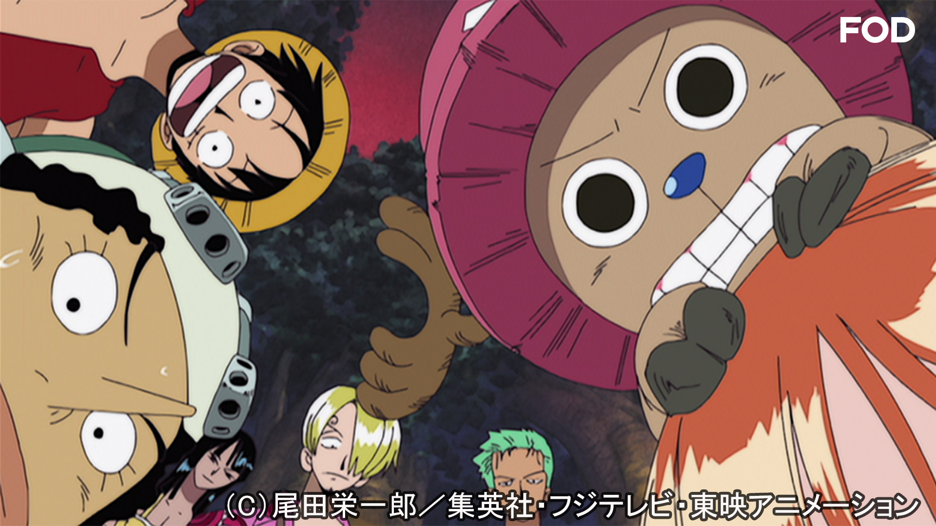 ワンピース 空島 スカイピア編 166 Dアニメストア