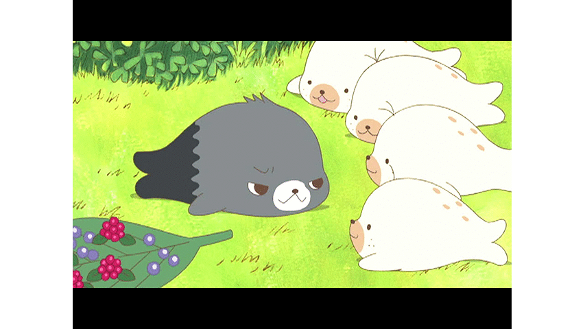 クプ まめゴマ 第34話 Dアニメストア