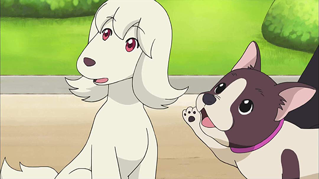 黒魔女さんのハロウィーン・３／犬も歩けば黒魔女さん？！