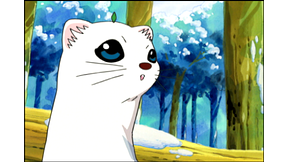 しあわせソウのオコジョさん アニメ動画見放題 Dアニメストア