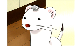 しあわせソウのオコジョさん アニメ動画見放題 Dアニメストア