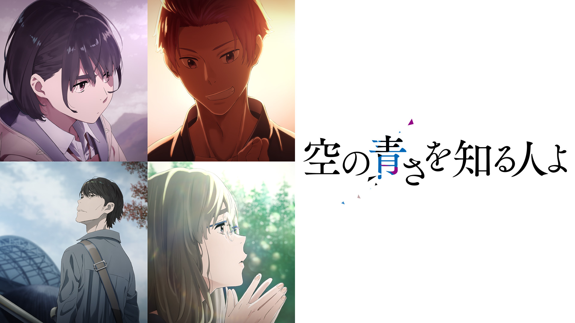 空の青さを知る人よ アニメ動画 Dアニメストア