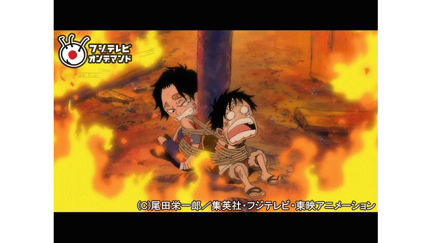 ワンピース マリンフォード編 501 Dアニメストア