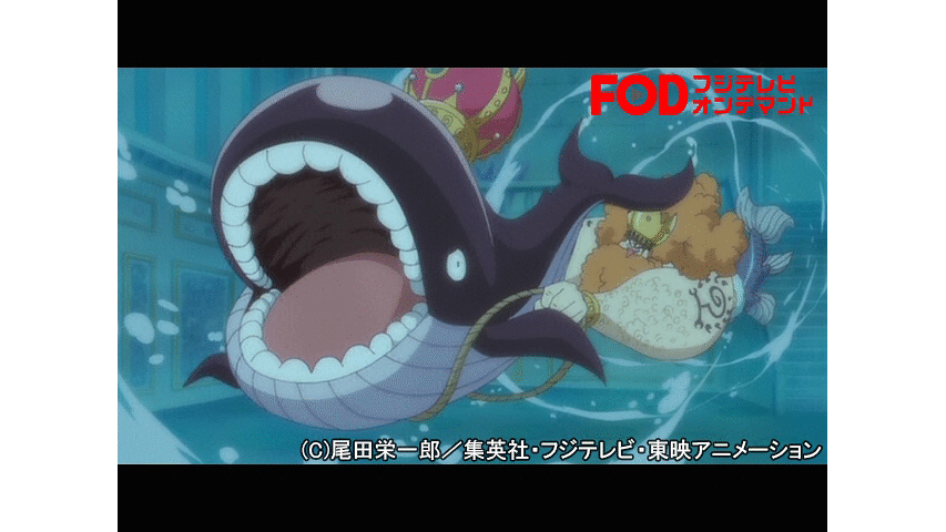 ワンピース 魚人島編 538 Dアニメストア