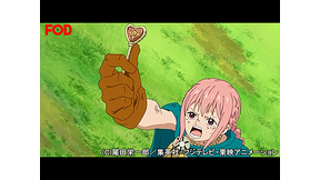 ワンピース ドレスローザ編 629 Dアニメストア
