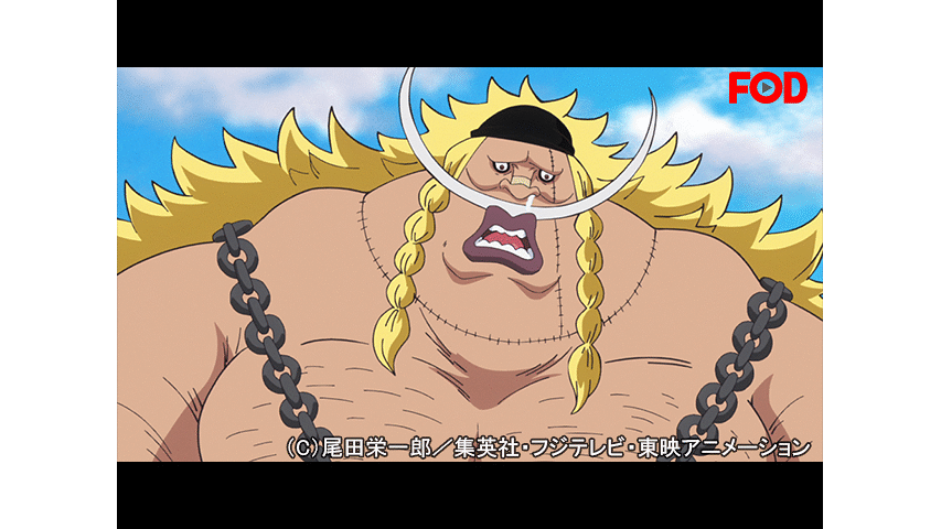 ワンピース ゾウ編 752 Dアニメストア ワンピース ゾウ編 752 Dアニメストア