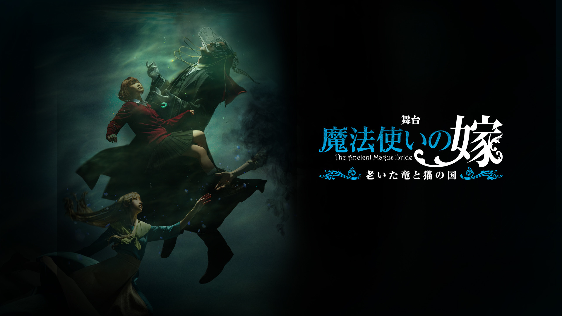 舞台 魔法使いの嫁 老いた竜と猫の国 アニメ動画見放題 Dアニメストア 舞台 魔法使いの嫁 老いた竜と猫の国 アニメ動画見放題 Dアニメストア