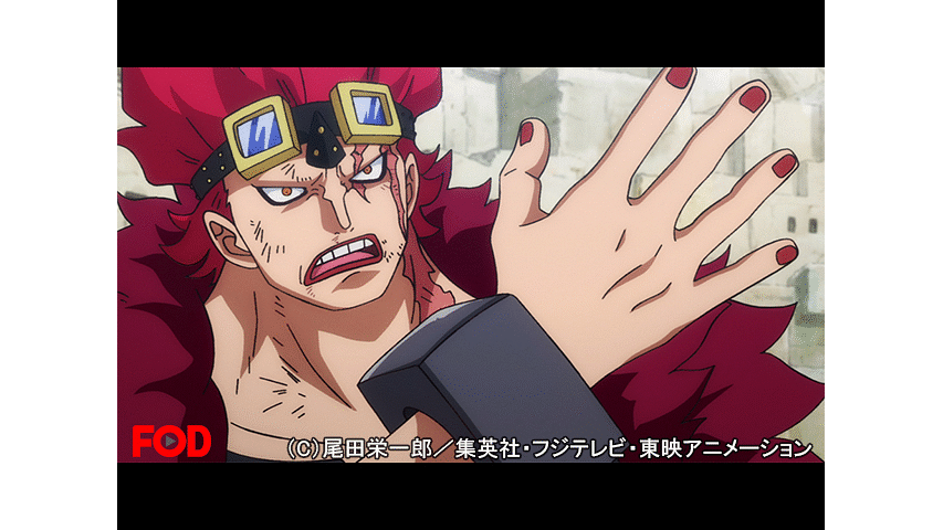 ワンピース ワノ国編 919 Dアニメストア