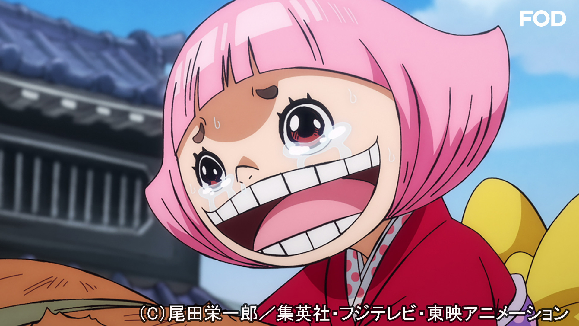 ワンピース ワノ国編 941 Dアニメストア ワンピース ワノ国編 941 Dアニメストア