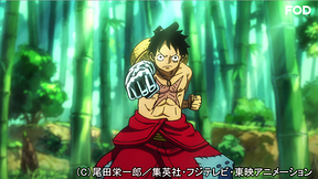 ワンピース ワノ国編 アニメ動画見放題 Dアニメストア