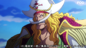 ワンピース ワノ国編 アニメ動画見放題 Dアニメストア