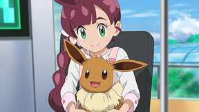 ポケットモンスター 第101話 第118話 Dアニメストア
