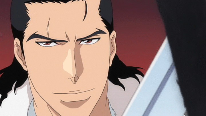 Bleach 死神代行消失篇 第356話 Dアニメストア