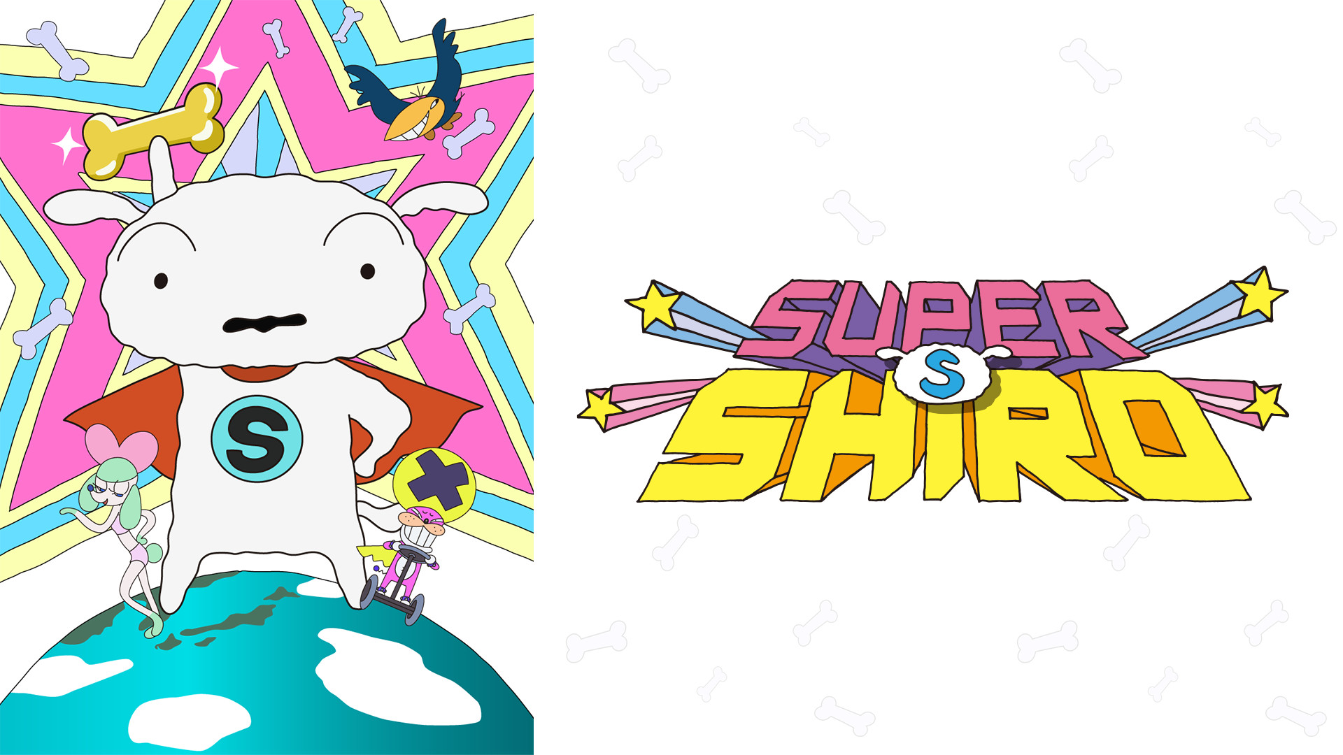 SUPER SHIRO(スーパーシロ)(全24話) - dアニメストア