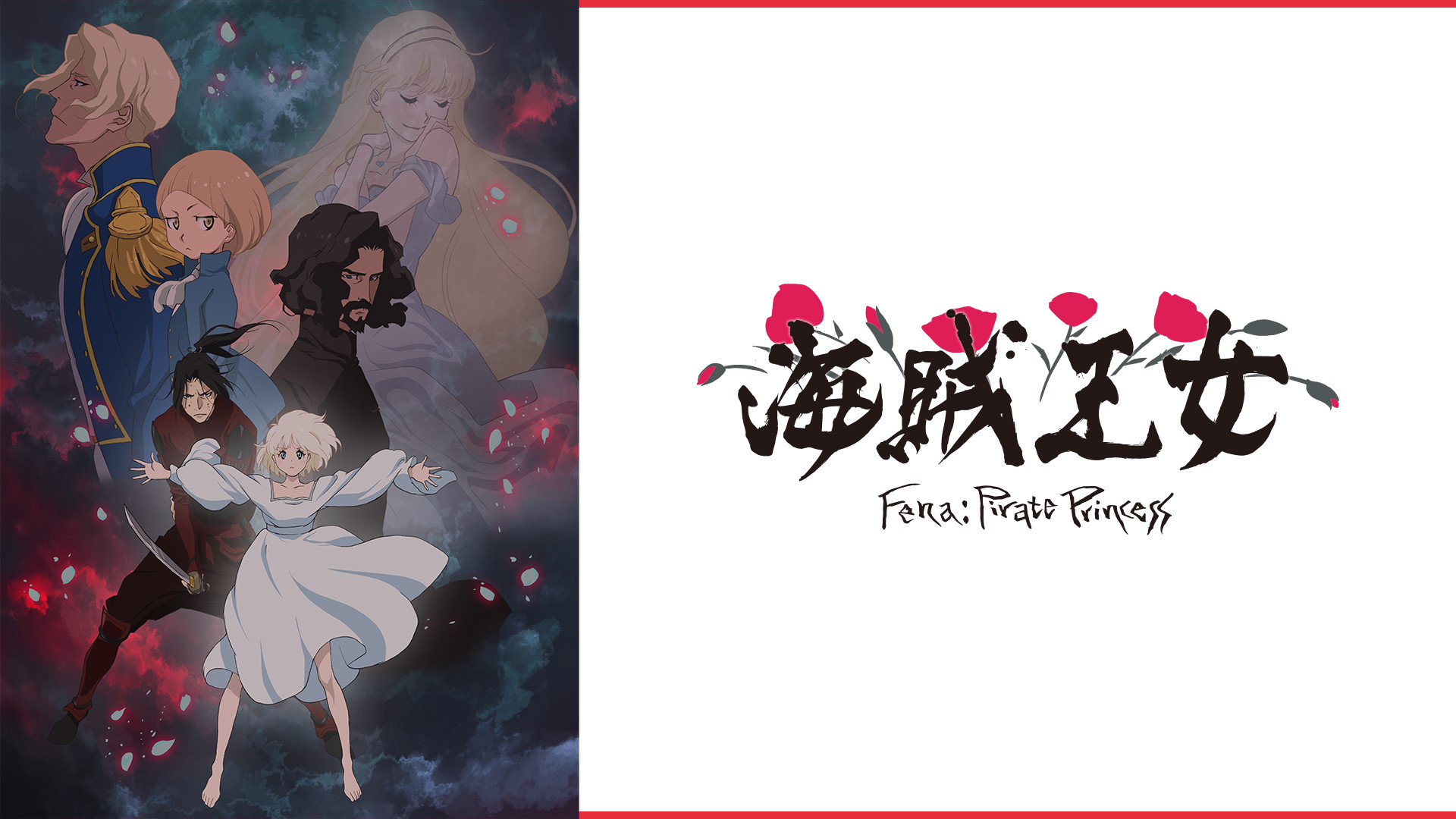 海賊王女シリーズ dアニメストア