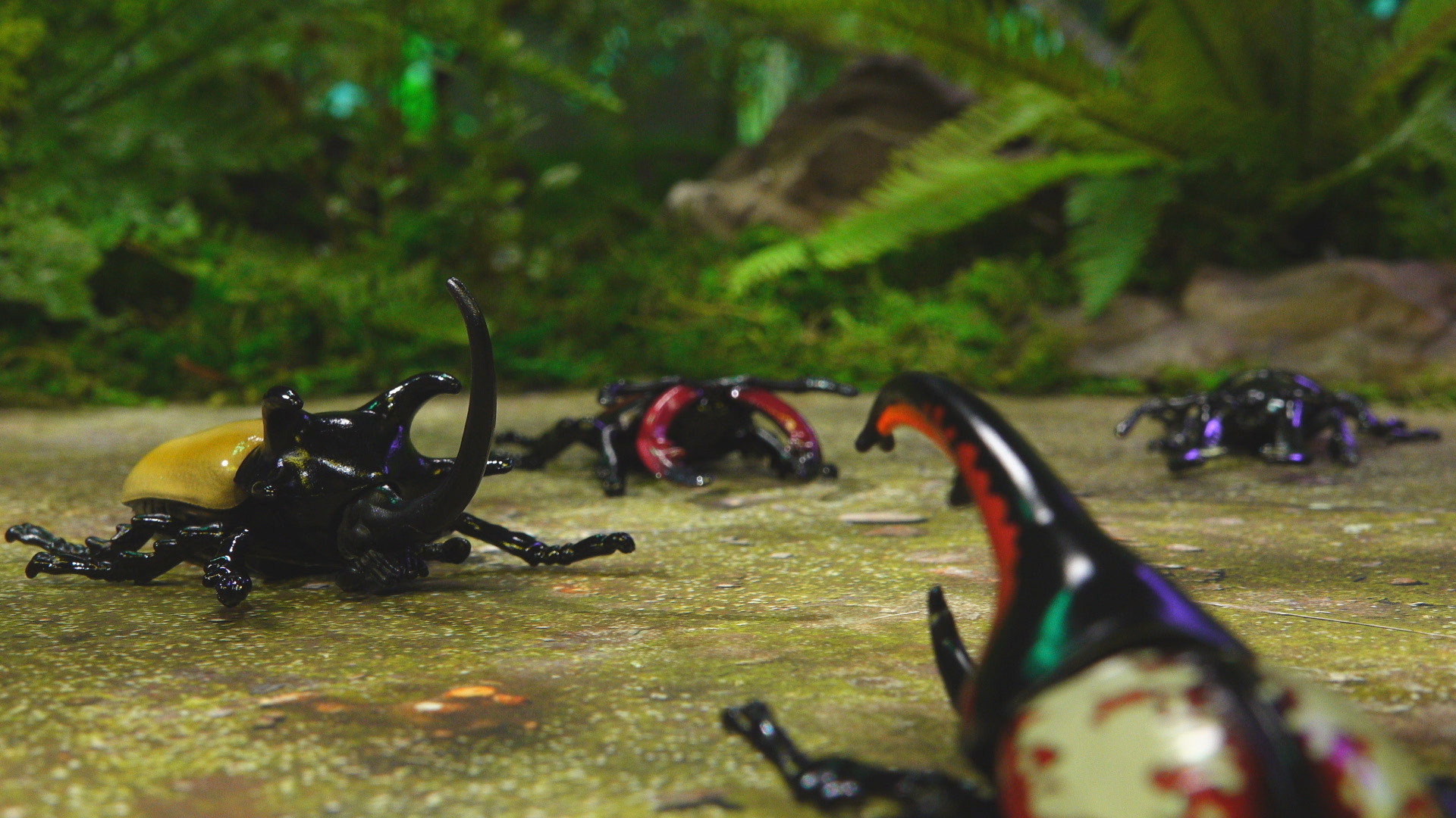 冒険大陸アニアキングダム #20 dアニメストア